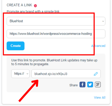 Impact Radius Affiliate Bluehost